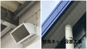 滋賀県野洲市 防鳥対策 防鳥ネット設置 企業 工場 倉庫 鳩よけ
