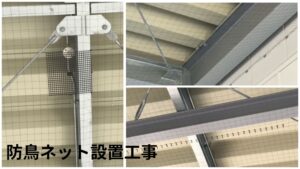 滋賀県野洲市 防鳥対策 防鳥ネット設置 企業 工場 倉庫 鳩よけ