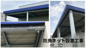 滋賀県野洲市 防鳥対策 防鳥ネット設置 企業 工場 倉庫 鳩よけ